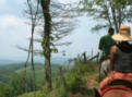 Sandy_Bottom_Rides_Asheville_area_Horseback_Rides