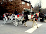 Carriage rides in charming Biltmore Village