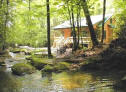 secluded creekside cabin 12 miles to Brevard