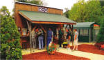 Authentic award-winning NC Barbecue