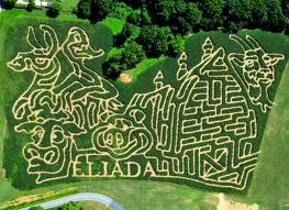 Asheville NC Corn Maze