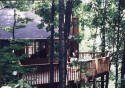 like being in a tree house over a cascading stream