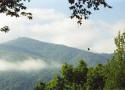 beautiful views and convenient location