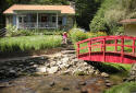 listen to the rushing creek from this charming cottage