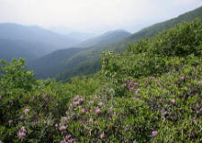 Mount Mitchell State Park view
