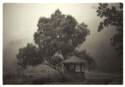 Don Grant Fine Art Photography