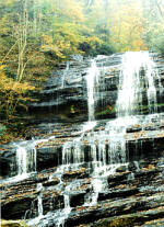 Pearson's Falls in a pristine forest setting between Tryon and Saluda