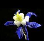 Ronnie Hughes award-winning lampworked glas artist