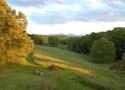 vacation rental with mountain views near Weaverville NC