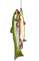 NC_Fishing
