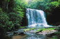 View of Lower Bearwallow Falls
