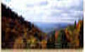 great smoky mountains national park3.jpg (41109 bytes)