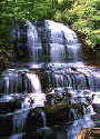 Photo: Pearson's Falls