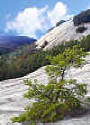 View at the top of Stone Mountain